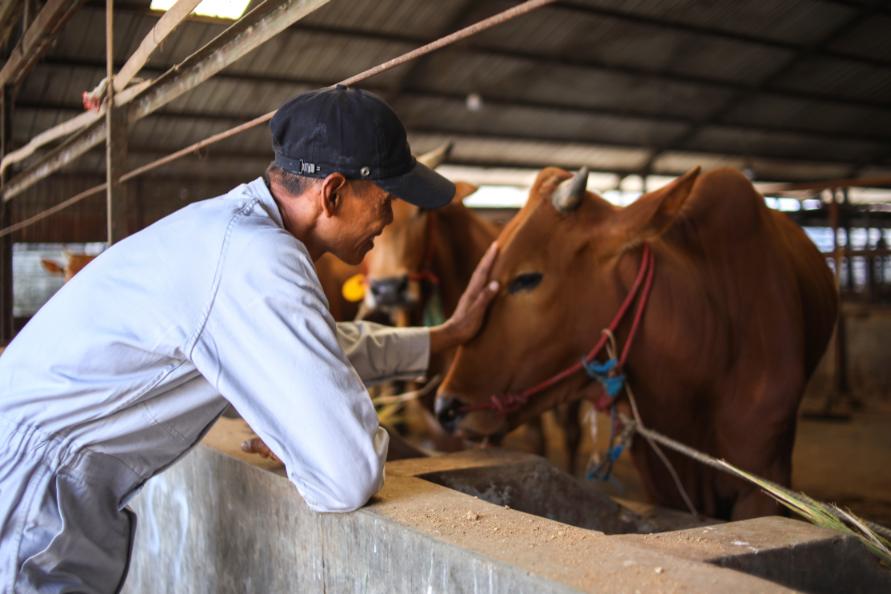 Dairy Plant Managers, Equipment Technicians, Engineers-img